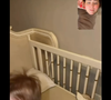 No vídeo, o que roubou a cena foi o berço de José Leonardo, que segundo internautas estaria sujo