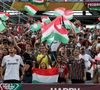 Com a classificação, Fluminense já arrecadou R$ 329 milhões, maior premiação da história do clube