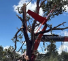 Helicóptero da família de Henrique e Juliano ficou preso entre árvores após pouso forçado em fazenda no Tocantins. Pai da dupla pilotava a aeronave no momento do incidente