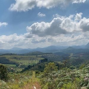 Marcos Palmeira compartilha constantes fotos de sua fazenda nas redes sociais