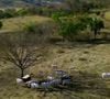 Fazenda de Gloria Pires em cidade de Goiás vai se transformar em condomínio com quadra de tênis, lago ornamental e campo de futebol