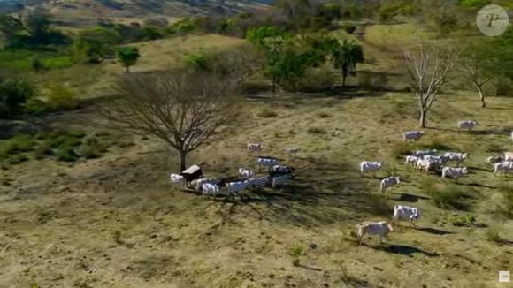 Fazenda de Gloria Pires em cidade de Goiás vai se transformar em condomínio com quadra de tênis, lago ornamental e campo de futebol