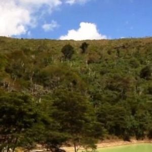 Fazenda de Marcos Palmeira possui um lago próprio