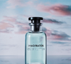 Com uma proposta de elegância masculina sensual e contemporânea, o Imagination, da Louis Vuitton, aposta no contraste entre cítricos nobres, chá preto chinês e notas ambaradas. De acordo com a marca, a fragrância foi desenvolvida pelo mestre perfumista Jacques Cavallier Belletrud e tem o Ambrox como um dos destaques da composição