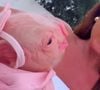 Nicole Bahls segura a 'porca reborn' que recebeu de presente, em homenagem à sua porquinha de estimação Rainha Mattos