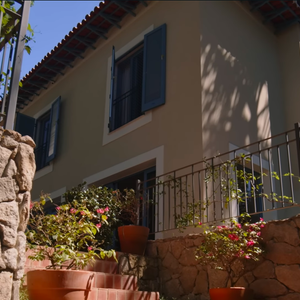 Chay Suede e Laura Neiva prezaram por um espaço cheio de vida para criar os filhos e cachorros