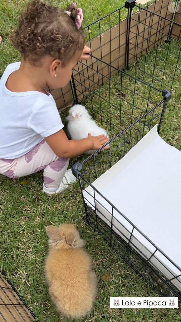 E encontrou Lola e Pipoca, os mais novos integrantes da família de Bruna Biancardi e Neymar