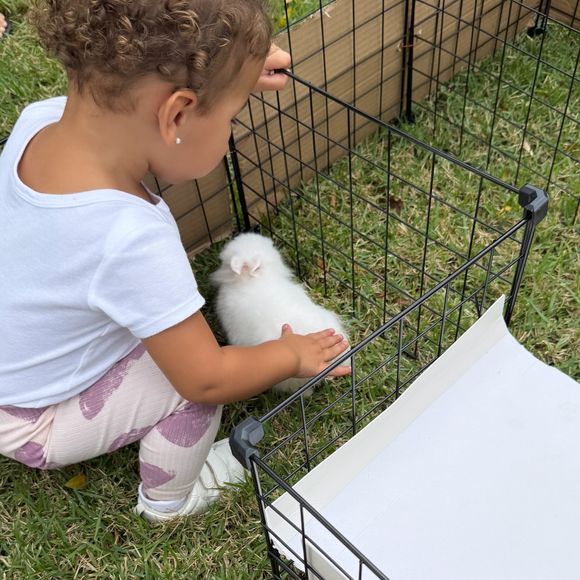 E encontrou Lola e Pipoca, os mais novos integrantes da família de Bruna Biancardi e Neymar