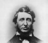 Henry David Thoreau deixou uma das reflexões mais conhecidas sobre solidão emocional: 'A solidão não se mede pelos quilômetros de distância entre um homem e outro'. A frase questiona a ideia de que estar perto significa, necessariamente, estar acompanhado