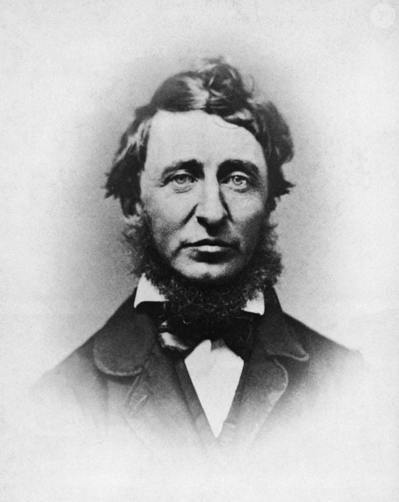 Henry David Thoreau deixou uma das reflexões mais conhecidas sobre solidão emocional: 'A solidão não se mede pelos quilômetros de distância entre um homem e outro'. A frase questiona a ideia de que estar perto significa, necessariamente, estar acompanhado