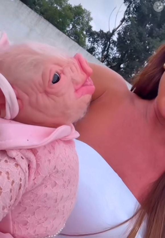 “Olha como é igual, até os pelinhos”, comentou Nicole ao comparar o boneco com sua porca real, Rainha Mattos