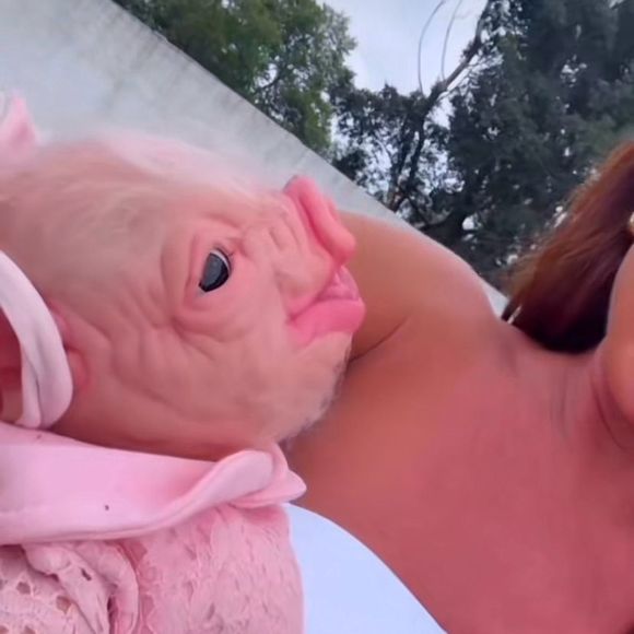 “Olha como é igual, até os pelinhos”, comentou Nicole ao comparar o boneco com sua porca real, Rainha Mattos