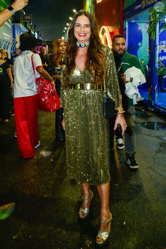 Luiza Brunet foi o brilho em pessoa na Sapucaí com um look dourado midi