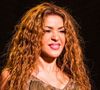 Shakira milionária? Entenda a polêmica após sua internação.