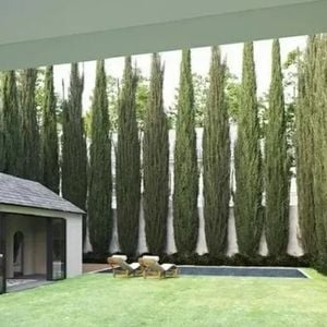 O jardim da mansão de Shawn Mendes conta com piscina e muita área verde