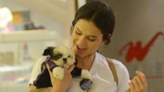 Segundo a psicologia, o que significa falar com animais de estimação como se fossem pessoas?