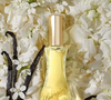 Notas de Flor de Laranjeira, Pêssego, Damasco e Bergamota abrem a composição do perfume Giorgio
