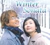 'WInter Sonata' traz um casal que se forma durante um passeio escolar e que enfrenta altos e baixos pelo fato do protagonista querer buscar seu pai