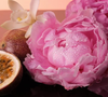 Mas por que um perfume poderia afastar pernilongos? Os pesquisadores levantaram a hipótese de que o efeito não esteja necessariamente relacionado a um cheiro que espante os insetos, mas à capacidade da fragrância de disfarçar o odor natural do ser humano, que é atraente para os mosquitos. Nesse caso, o Bombshell aparentemente cumpre essa função
