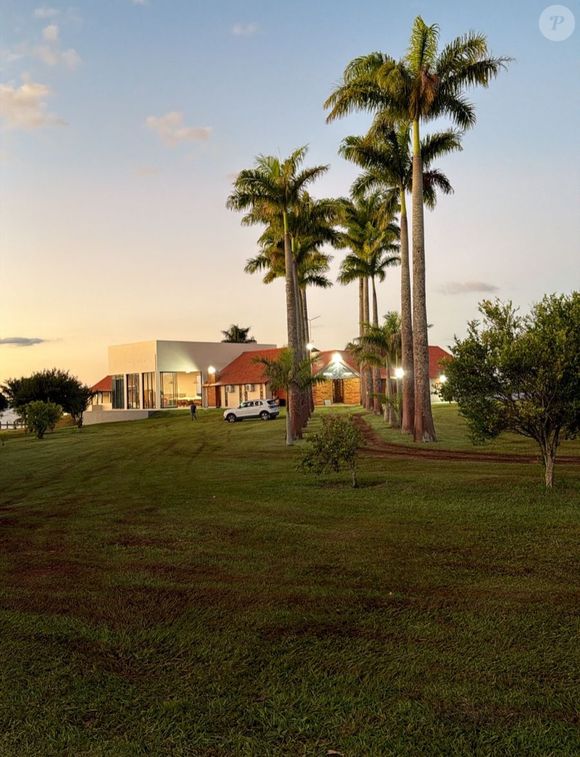 Foto da fazenda de Sabrina Sato revela palmeiras-imperiais e amplo espaço