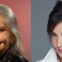 'Guardo mágoas da Zizi': há quase 30 anos, Angela Ro Ro admitiu ter batido em mulher, mas negou agressão à ex famosa