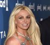 Britney Spears também tem bebê reborn.