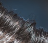 Para Víctor del Valle, não é necessário chegar ao salão com o cabelo recém-lavado, mas também não é indicado estar com o couro cabeludo saturado de oleosidade e resíduos de produtos