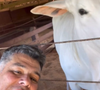 Mauricio Mattar tem criação de bovinos em Haras Kirk