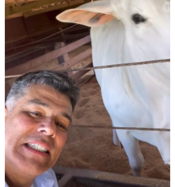 Mauricio Mattar tem criação de bovinos em Haras Kirk