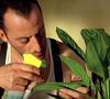 No filme 'León: O Profissional' (1994)', o personagem de León (Jean Reno) mantém em casa uma planta, cuidando dela como se fosse verdadeiramente sua amiga.
