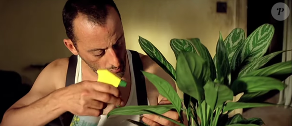 No filme 'León: O Profissional' (1994)', o personagem de León (Jean Reno) mantém em casa uma planta, cuidando dela como se fosse verdadeiramente sua amiga.