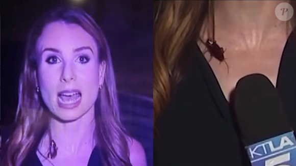 A reação virou assunto nas redes! Um dos comentários mais compartilhados sobre o vídeo resumiu o sentimento do público: 'Dê a ela um aumento, eu teria rasgado minhas roupas ao vivo na TV'