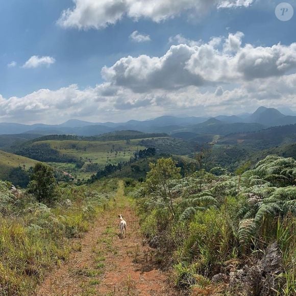 Marcos Palmeira compartilha fotos de sua fazenda nas redes sociais e encanta fãs