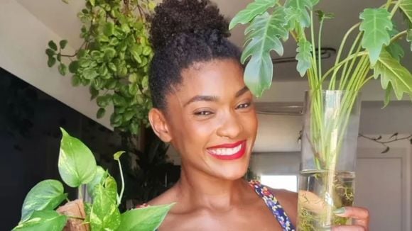 Um estudo revelou que as pessoas que têm plantas em casa sofrem menos de estresse