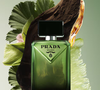 Com notas amadeiradas, toque âmbar e um fundo extremamente sofisticado, o Prada Paradigme entrega aquele cheiro de homem milionário discreto que domina as tendências de perfumaria de luxo para o inverno 2026