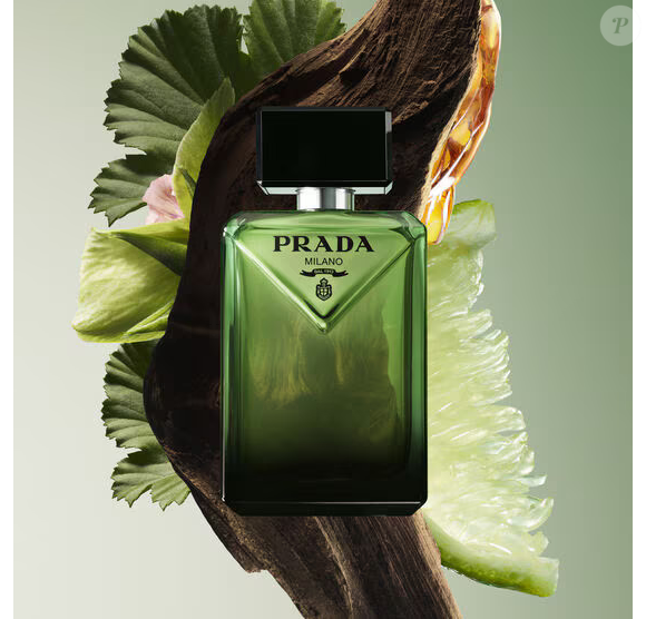 Com notas amadeiradas, toque âmbar e um fundo extremamente sofisticado, o Prada Paradigme entrega aquele cheiro de homem milionário discreto que domina as tendências de perfumaria de luxo para o inverno 2026