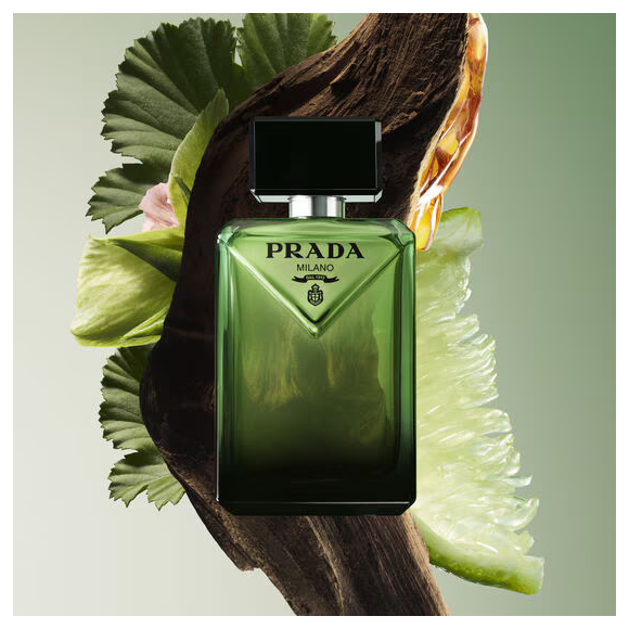 Com notas amadeiradas, toque âmbar e um fundo extremamente sofisticado, o Prada Paradigme entrega aquele cheiro de homem milionário discreto que domina as tendências de perfumaria de luxo para o inverno 2026