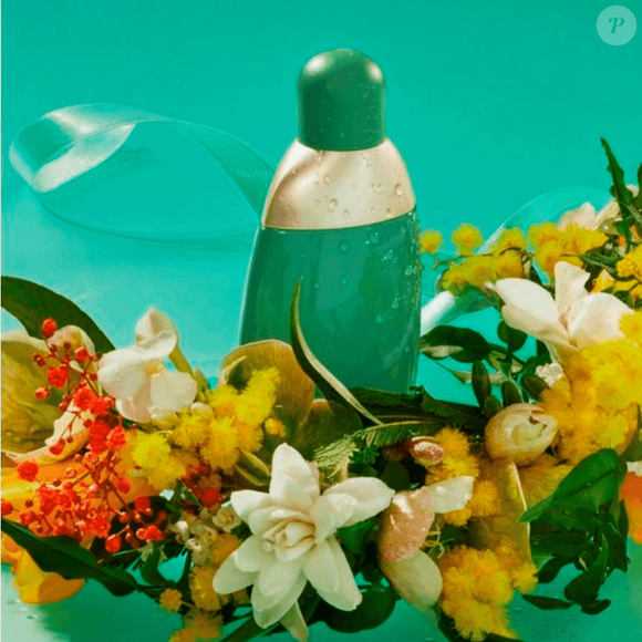 Criado pelo perfumista Jean Guichard, o Eden, da Cacharel, combina frutas, flores aquáticas e madeiras em uma composição que ainda surpreende mais de 30 anos após seu lançamento