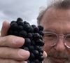Sam Neill tinha como outra paixão a vida na vinícola: 'Minha vida como ator sempre serviu de contrapeso à minha vida na fazenda. Uma servia de paliativo para a outra'