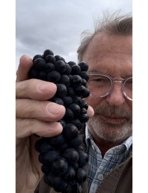 Sam Neill tinha como outra paixão a vida na vinícola: 'Minha vida como ator sempre serviu de contrapeso à minha vida na fazenda. Uma servia de paliativo para a outra'