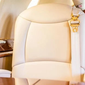 Modelo da aeronave conta com interior luxuoso e capacidade para transportar passageiros com privacidade.