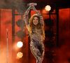 Shakira é uma das artistas latinas mais ricas do mundo, com ganhos vindos de turnês, vendas musicais e publicidade