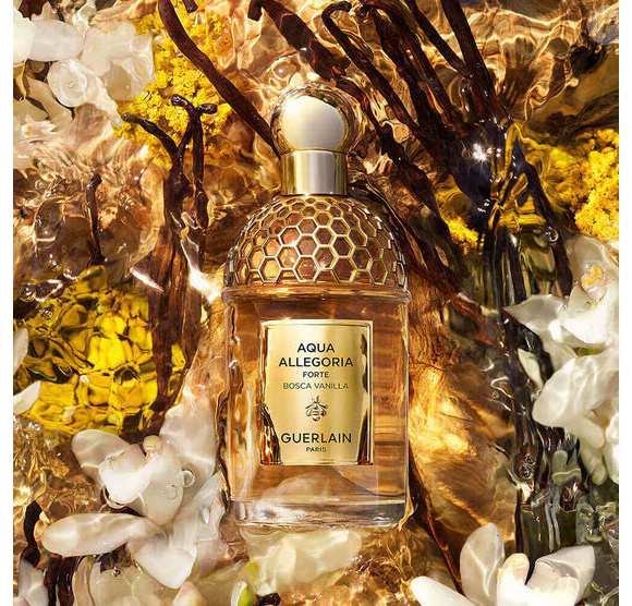 As folhas de eucalipto e a laranja amarga abrem a fragrância com leveza, enquanto o coração traz a união da baunilha com a flor eterna. No fundo, cipreste e madeira garantem sofisticação e um toque elegante que não pesa