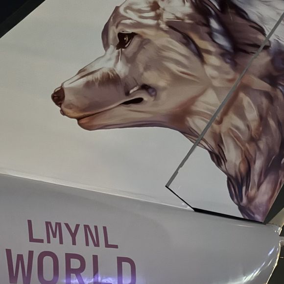 Jatinho ligado aos deslocamentos recentes de Shakira traz símbolo inspirado na estética da era Las Mujeres Ya No Lloran