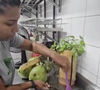 Ana Maria Braga mostrou cozinheiras preparando as refeições de Gracyanne Barbosa com 45 ovos