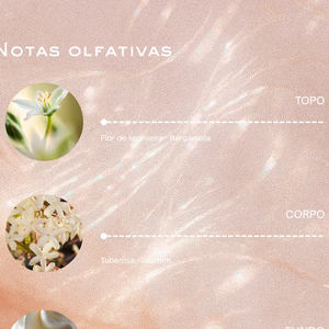 Classificado como Floral Branco Amadeirado e de intensidade intensa, o perfume indicado por Lívian Aragão reúne notas de flor de laranjeira, bergamota doce, tuberosa cremosa, jasmim solar, baunilha quente, almíscar branco e cedro luminoso