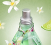 Cheiro de banho tomado até no inverno? Perfume cítrico da L'Occitane au Brésil conquista por frescor