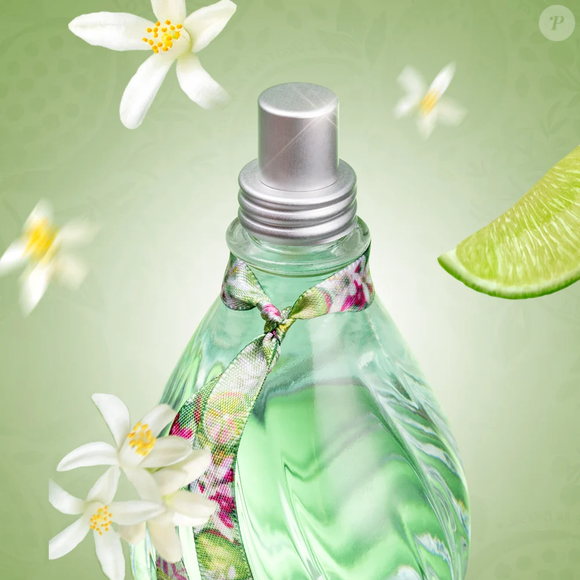 Cheiro de banho tomado até no inverno? Perfume cítrico da L'Occitane au Brésil conquista por frescor
