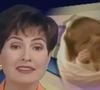 Em 1998, Fátima Bernardes anunciou o nascimento de Sasha Meneghel no 'Jornal Nacional': 'Foram nove meses de muita ansiedade. Lágrimas, sorrisos e aquela imensa expectativa'