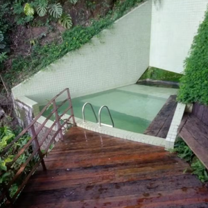 O imóvel tem altura equivalente a quatro escadas, por isso é chamada de casa na árvore